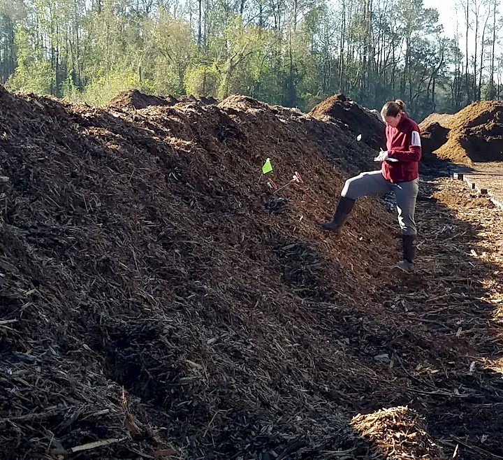 Monitoring compost temperatures (Source: Joe Hudyncia, 2018).