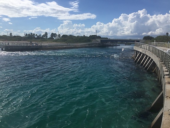 A Family Tradition – Old School Florida Smuggling, Chapter 4 (article)