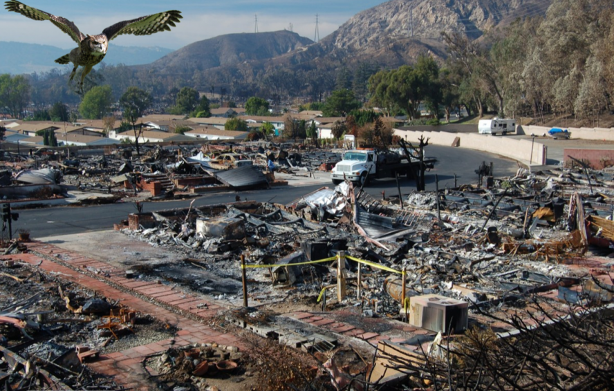 (Source: Barton Dunant, Emergency Management Training and Consulting)