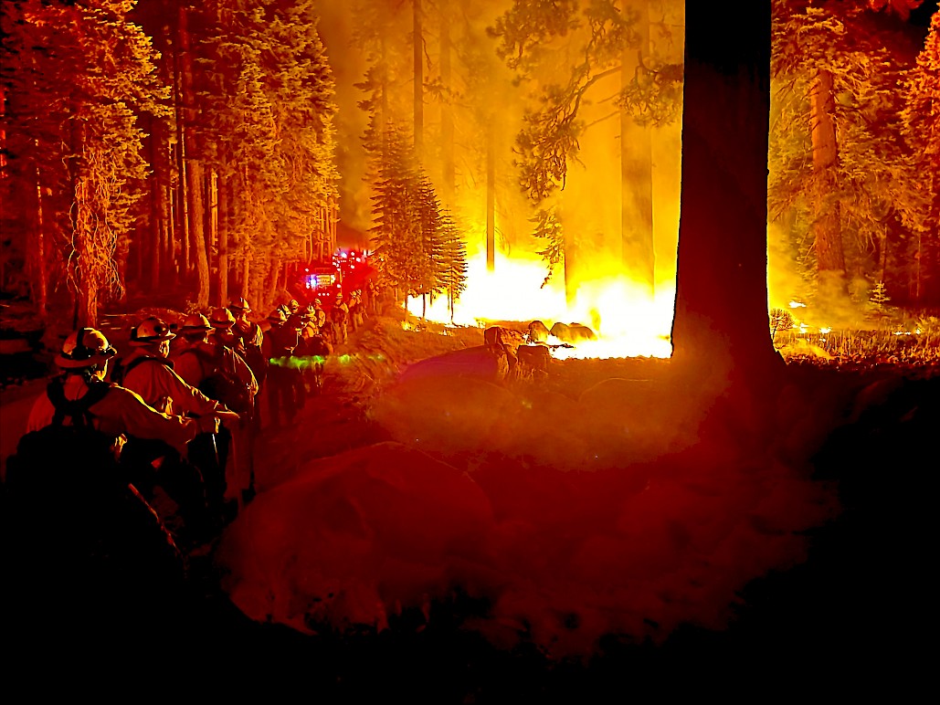 Firefighter Crew at Mount Hough Road