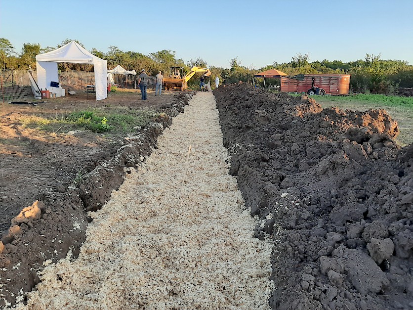 Fig. 4. Above Ground Burial trench prepared for the disposal of fifty 450-pound sows in Oklahoma in 2019 (Source: Gary Flory).